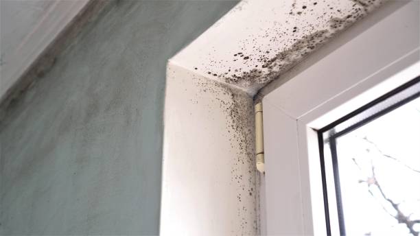 Water Damage Restoration in Sanford, NC