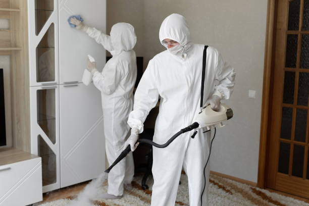 Best Residential Mold Removal  in Sanford, NC