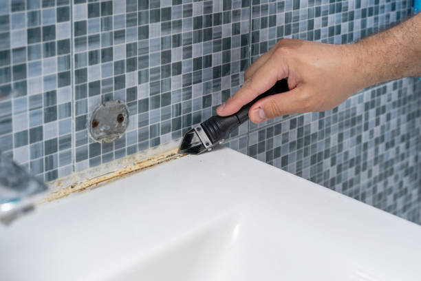 Best Mold Remediation Services  in Sanford, NC