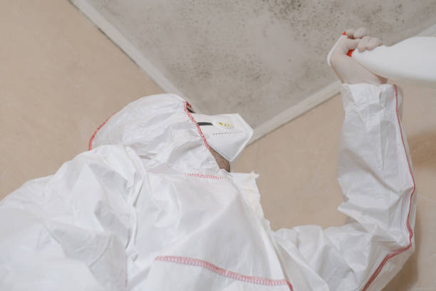Best Mold Cleaning Services  in Sanford, NC