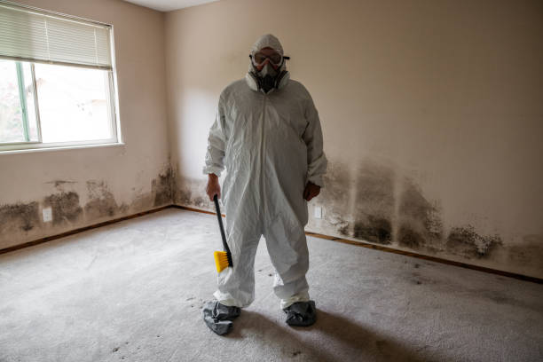 Best Mold Removal Specialists  in Sanford, NC