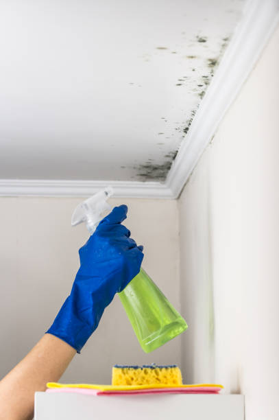 Best Water Damage Restoration  in Sanford, NC